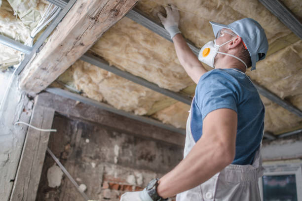 Best Cellulose Insulation in Mountain Village, CO