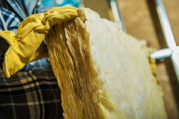 Best Geographic-Specific Insulation Services in Mountain Village, CO